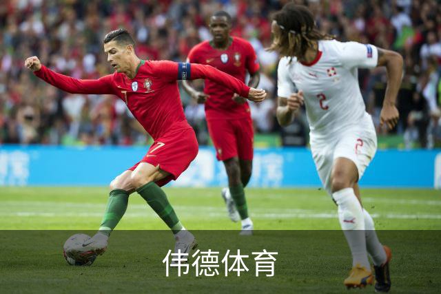 伟德体育公司简介